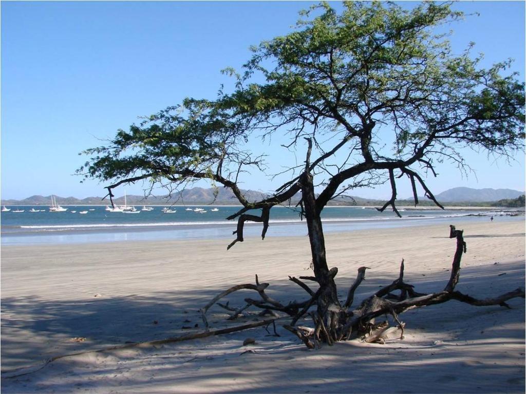 Jet Luxury At Langosta Beach Resort & Villas Tamarindo Bagian luar foto